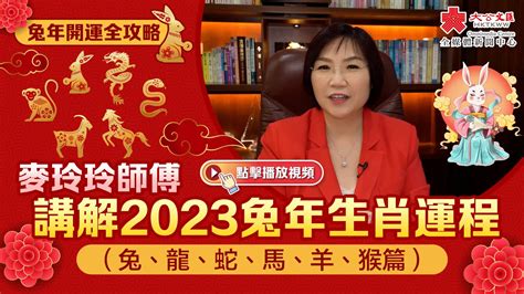 2023風水佈局麥玲玲|【兔年風水運程】兔年要點揀年花、地氈？麥玲玲師父教擺家居九。